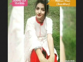Cute girl enjoys oral and vaginal sex in MMS video