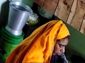 Bhabhi gets doggy style with her brother in a village video