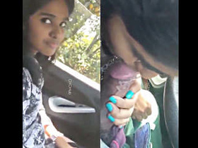 Babe with a big dick gets sucked on the road