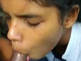 Real college girls enjoy cock sucking and anal in HD video