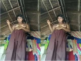 College girl's homemade video of boob sucking and fucking