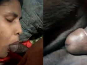 Desi local village wife enjoys rough sex with her lover