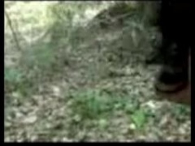Indian girl with small boobs gets naughty in hindi video