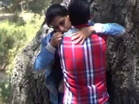 Desi Indian girl gets fucked outdoors on the street