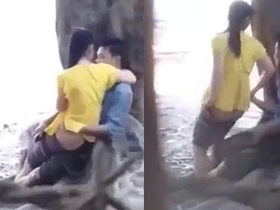 Cute Asian girl gives a blowjob and gets fucked in the park