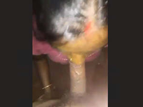 Horny mature bhabi sucks her young devar's dick
